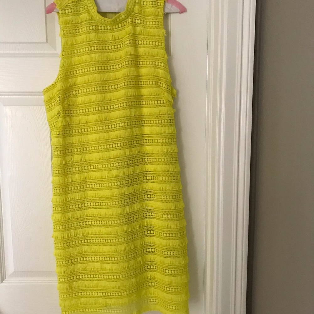 J Crew Dress